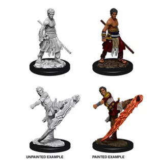 D&D Nolzur’s Marvelous Miniatures: Male Half-Elf Monk-73838