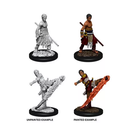 D&D Nolzur’s Marvelous Miniatures: Male Half-Elf Monk-73838