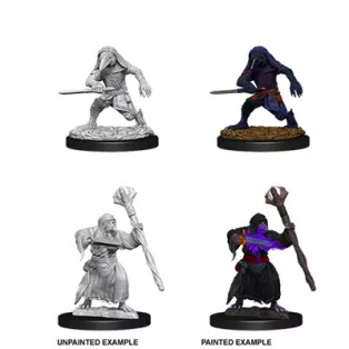 D&D Nolzur’s Marvelous Miniatures: Kenku Adventures-73840