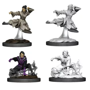 D&D Nolzur’s Marvelous Miniatures: Female Human Monk-90008