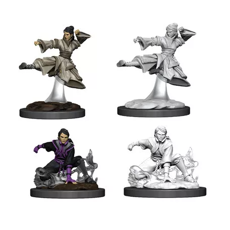 D&D Nolzur’s Marvelous Miniatures: Female Human Monk-90008