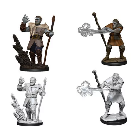 D&D Nolzur’s Marvelous Miniatures: Male Firbolg Druid-90013