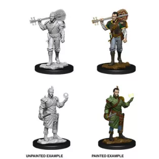 D&D Nolzur's Marvelous Miniatures: Male Half-Elf Bard-90055