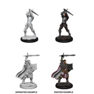 D&D Nolzur's Marvelous Miniatures: Male Human Paladin-90060