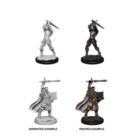D&D Nolzur's Marvelous Miniatures: Male Human Paladin-90060