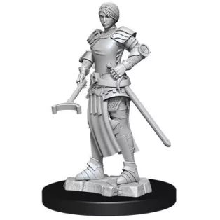 Wizkids Deep Cuts Unpainted Miniatures: Towns People: Castle - Castle 2-90121