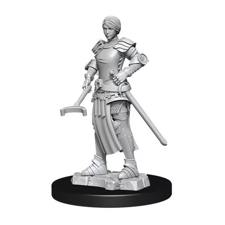 Wizkids Deep Cuts Unpainted Miniatures: Towns People: Castle - Castle 2-90121