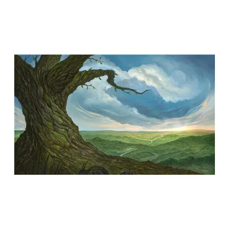 Kraken Wargames Playmats - Forest-KWG-TCG-14