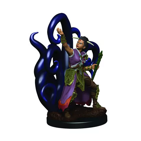 D&D Icons of the Realms Premium Figures: Female Human Warlock-93018