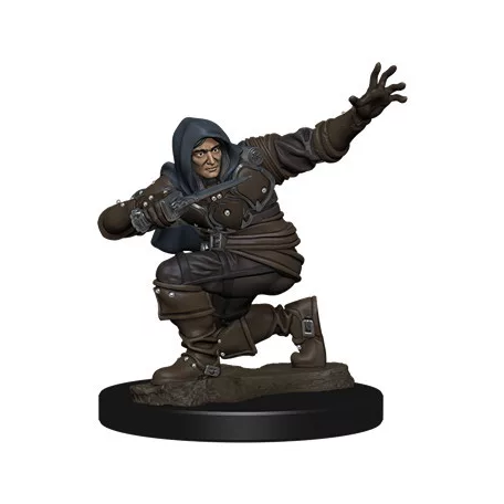 Pathfinder Battles: Premium Painted Figure - Human Rogue Male - EN-WZK77500