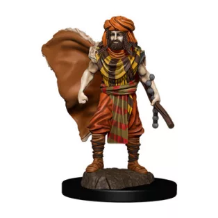 D&D Icons of the Realms Premium Figures: Human Druid Male-93031
