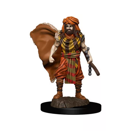 D&D Icons of the Realms Premium Figures: Human Druid Male-93031