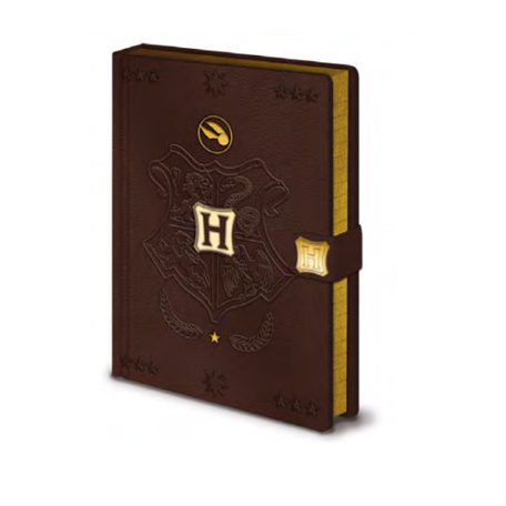 Pyramid Premium A5 Notebooks - Harry Potter (Quidditch)-SR72883