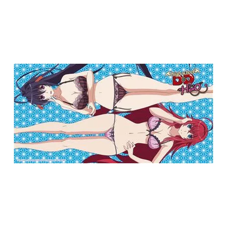 Highschool DXD Hero Beach Towel - Rias und Akeno 160x80cm-SAK12380