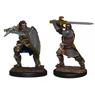 D&D Nolzur's Marvelous Miniatures: Human Paladin Male-90220