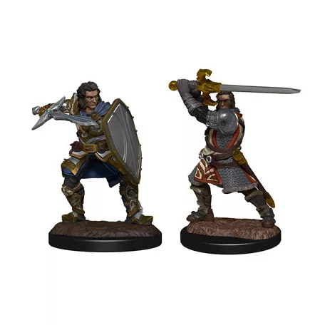 D&D Nolzur's Marvelous Miniatures: Human Paladin Male-90220
