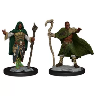 D&D Nolzur's Marvelous Miniatures: Human Druid Male-90221