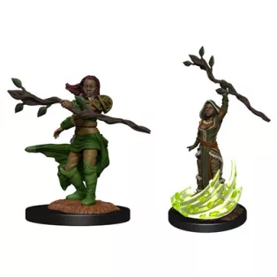 D&D Nolzur's Marvelous Miniatures: Human Druid Female-90223