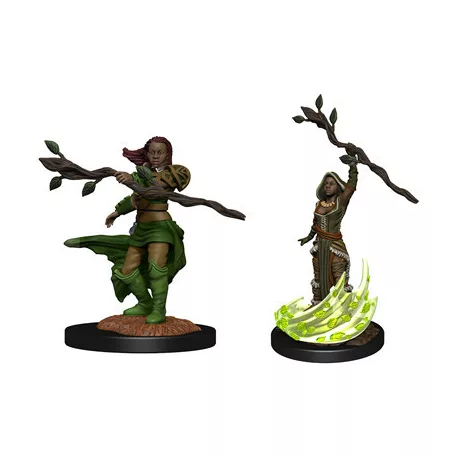 D&D Nolzur's Marvelous Miniatures: Human Druid Female-90223