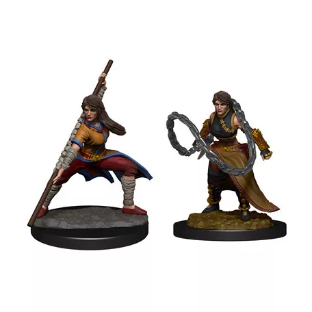 D&D Nolzur's Marvelous Miniatures: Human Monk  Female-90225