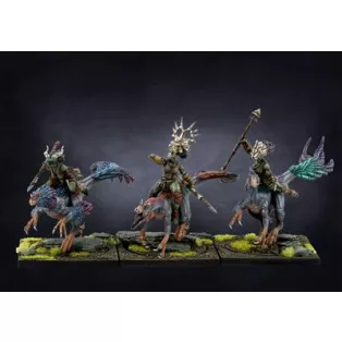 Conquest - W'adrhŭn: Raptors - EN-PBW9003