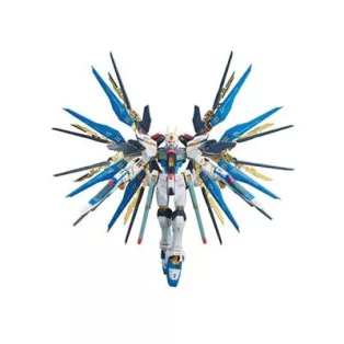 RG 1/144 ZGMF-X20A STRIKE FREEDOM GUNDAM-MK61617