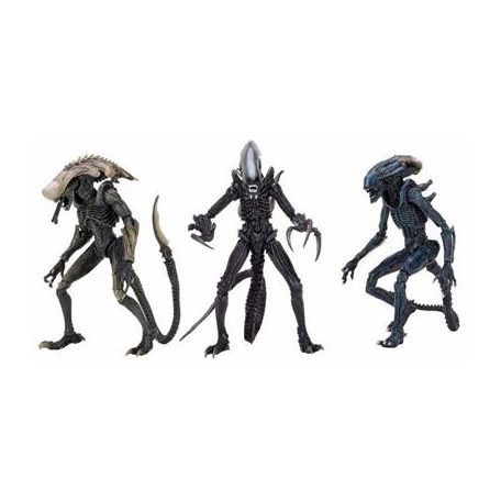 Alien vs Predator - 7" Scale Action Figure - Alien Assortment (Movie Deco) (14) Limited Edition-NECA51717