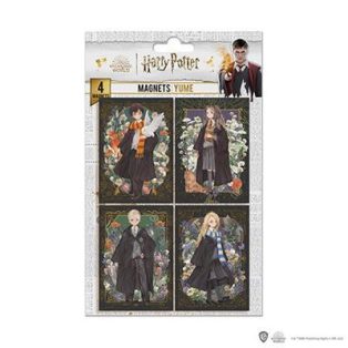 Set of 4 Magnets - Portraits characters - Harry Potter-DO5007