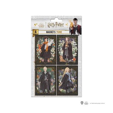 Set of 4 Magnets - Portraits characters - Harry Potter-DO5007