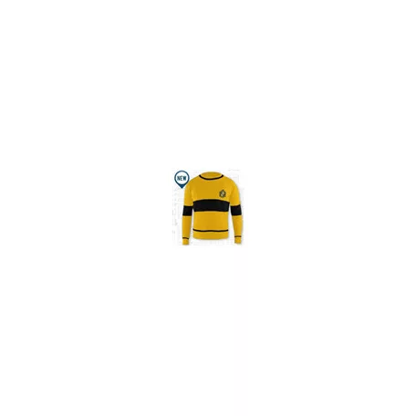 Harry Potter - Quidditch Hufflepuff - Sweater-08863-L