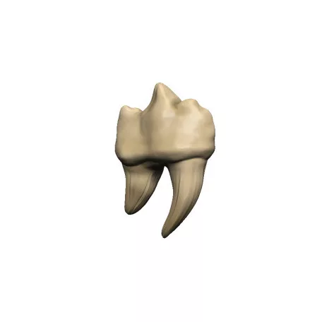 D&D Replicas of the Realms: Teeth of Dahlver-Nar Artifact-96122