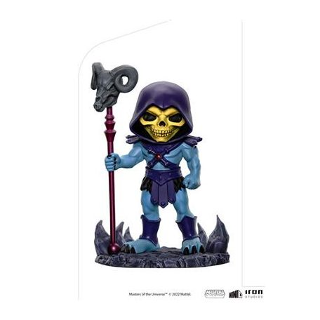 Masters of the Universe Skeletor MiniCo-HEMAN63422-MC