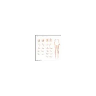 30MS OPTION BODY PARTS ARM PARTS & LEG PARTS [COLOR B]-MK63936