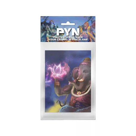 PYN Maharaja Design Artwork Sleeves (50)-CC326