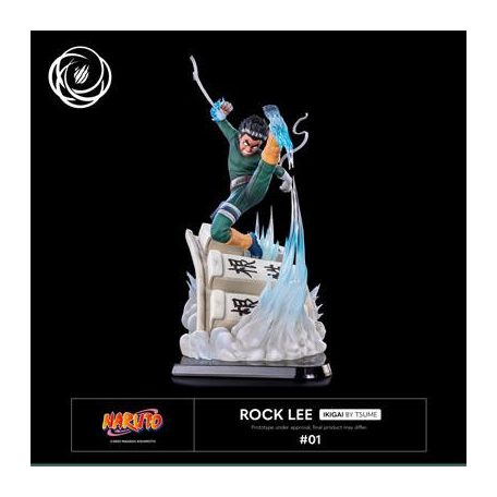 Tsume Arts - Rock Lee - Ikigai-