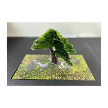 Bandua - Forest Green-ba0100174