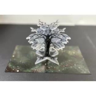 Bandua - Forest Dead-ba0100175