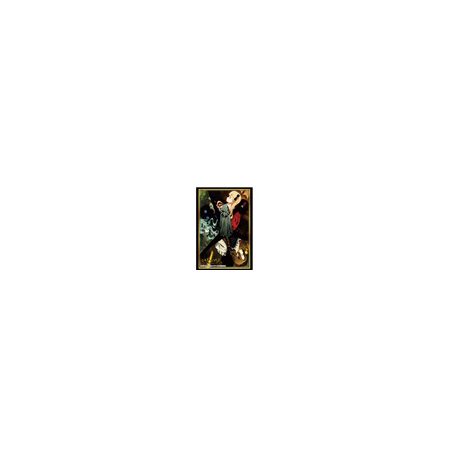 Bushiroad Sleeve Collection HG Vol.3408 Shadow House "2nd Season Key Visual" (75 Sleeves)-205810