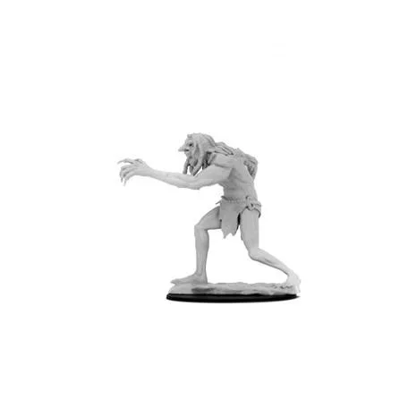 D&D Nolzur's Marvelous Miniatures: Troll - EN-WZK90190