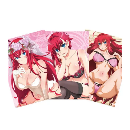 Highschool DxD - Clearfile Set - A4-SAK83113