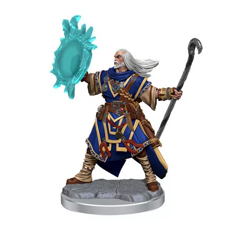 Pathfinder Legendary Cuts: Male Human Wizard-77000