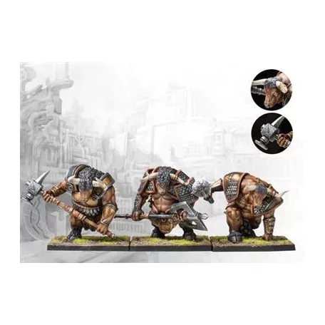 Conquest - City States: Minotaur Thyreans-PBCS301