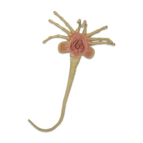 Alien - Foam Prop Replica - Life-Size Facehugger-NECA51355