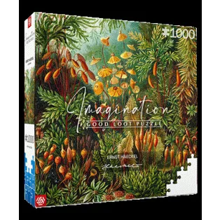 Imagination: Ernst Haeckel Muscinae Puzzle 1000pcs-39642