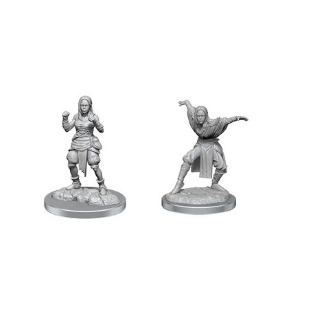 Pathfinder Deep Cuts: Half-Elf Monk Female - EN-WZK90652