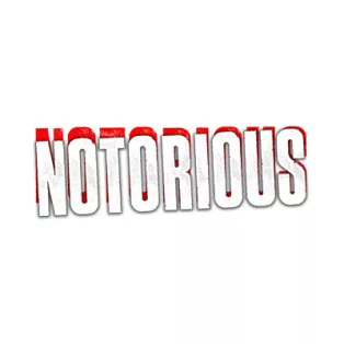 DC HeroClix: Notorious Booster Brick-84032