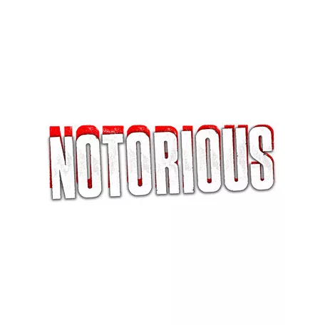 DC HeroClix: Notorious Booster Brick-84032