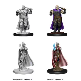 D&D Nolzur’s Marvelous Miniatures: Human Ranger & Moon Elf Sorcerer-73675